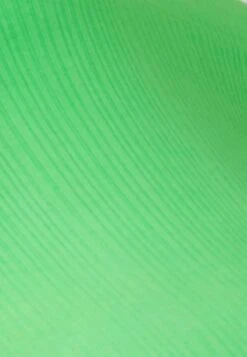 Next One Shoulder Ribbed Cotton BodyBodyGreen Donna Intimo NX381S02Y-M11 -DeFacto Italia 2025 0128eeec39b948f6b6bc9014183d7618