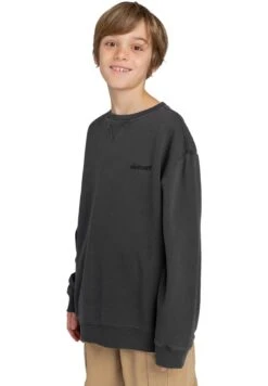 Element Cornell Pour Elbft00116 - Felpa - Kta0 -DeFacto Italia 2025 06699fe14c254c95b54a8e160841e903