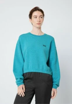 American Vintage Izubird - Felpa - Vintage