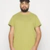 Lash PlusT-Shirt BasicLeek Green Uomo T-shirt E Polo GSA22O001-M11 -DeFacto Italia 2025 9bd8ae9704804ded82d5479f833aa2dc