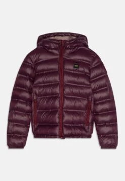 Blauer Short Giacca InvernaleWine Bambini Abbigliamento Outwear BM923L00O-G11